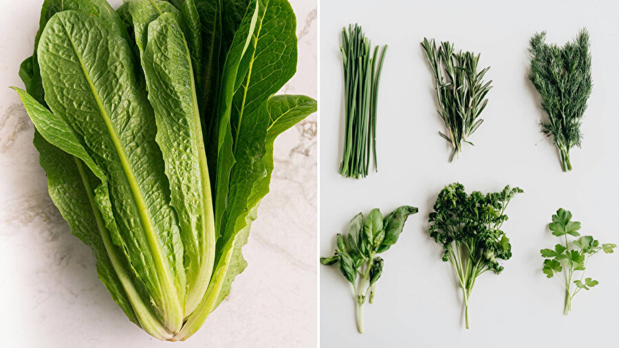 Solmuş yeşillikleri taze hâle getirmenin pratik yolları