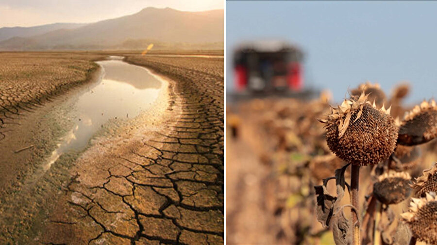 Yağmur yağmazsa Trakya'da tarihin en büyük kuraklığı yaşanacak