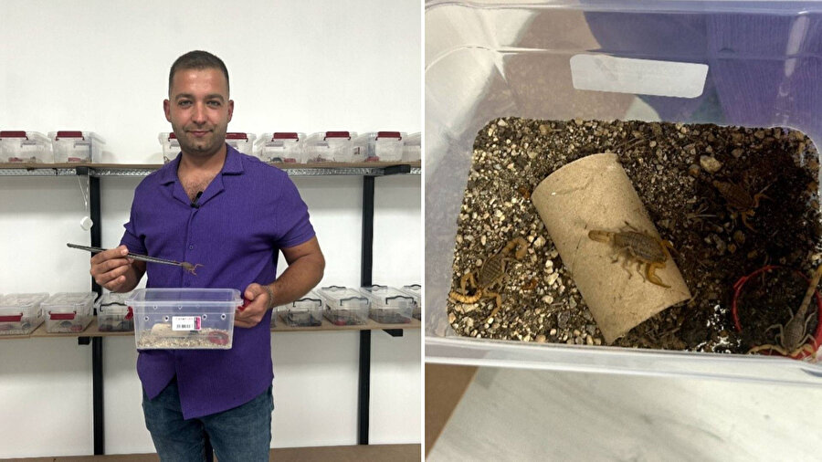 İnternette görerek başladı: Litresini 10 milyon dolardan satıyor