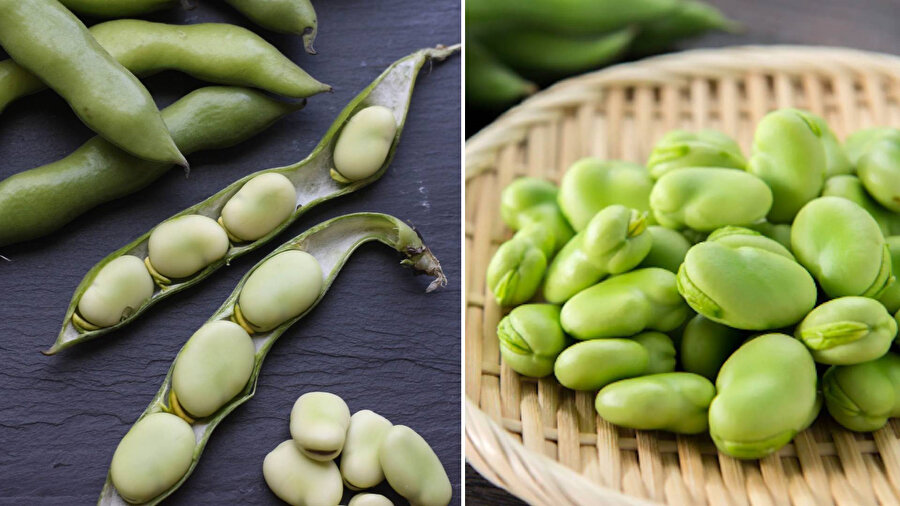 Taze bakla hakkında bilmeniz gerekenler: Seçme, saklama ve pişirme tüyoları