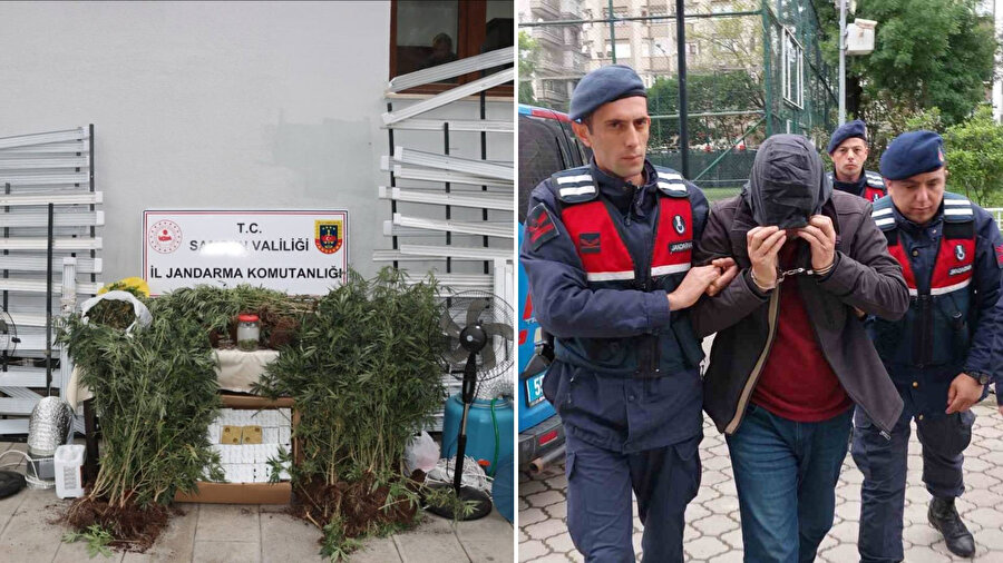İnternetten izleyip 5. kattaki evini uyuşturucu tarlasına çevirdi: Savunması şaşırttı