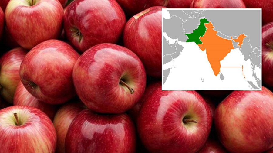 ​Hindistan'ın Türkiye boykotu başladı: Elmanın üstünü çizdiler