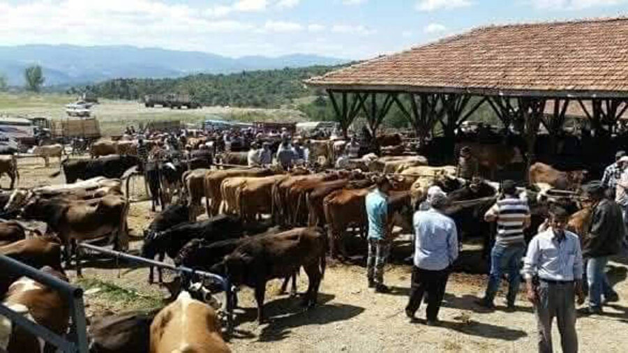 İlçe'de hastalık alarmı: Bir pazar, 25 mahalle ve 15 köy karantinaya alındı