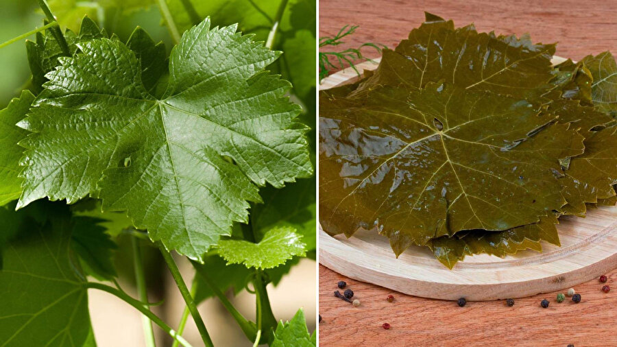 Asma yaprağı yıl boyu nasıl saklanır? En pratik yöntemler