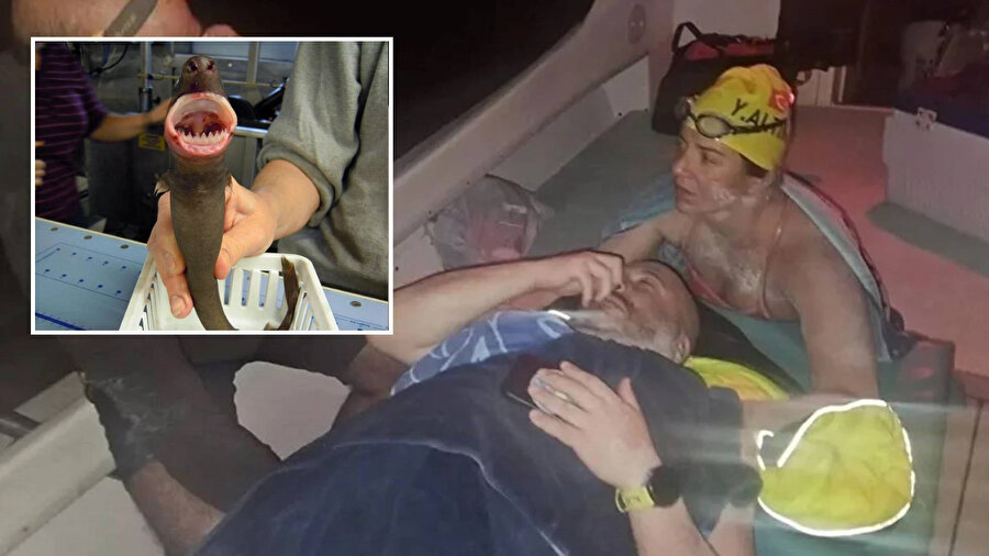 Türk yüzücüyü ısırmıştı: &quot;Cookiecutter&quot; köpekbalığı nedir?