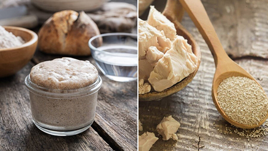 Hamur işlerinde maya rehberi: Yaş, kuru, instant ve ekşi maya farkları