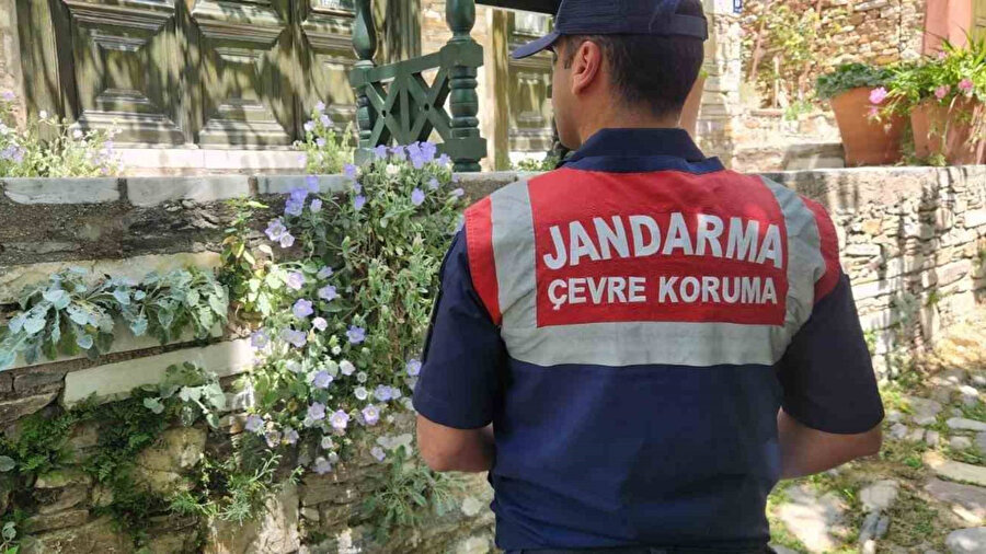 Bu çiçeği koparmanın cezası 557 bin TL