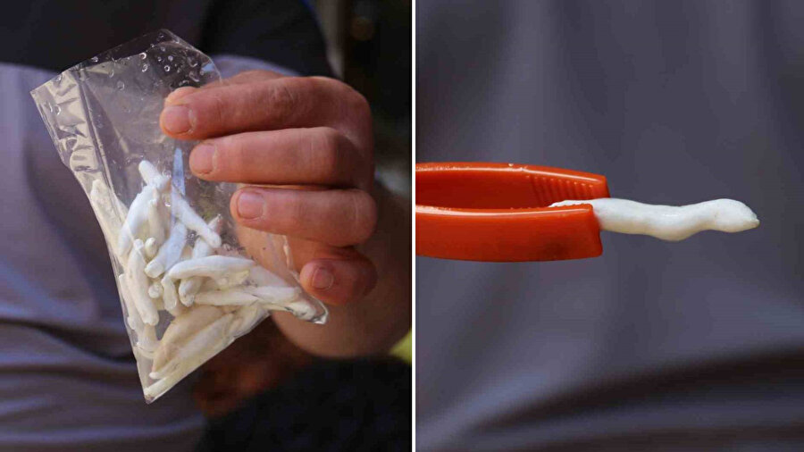 Dünyanın en pahalı sakızı: Çeyrek altını geçti, yarım altınla yarışıyor