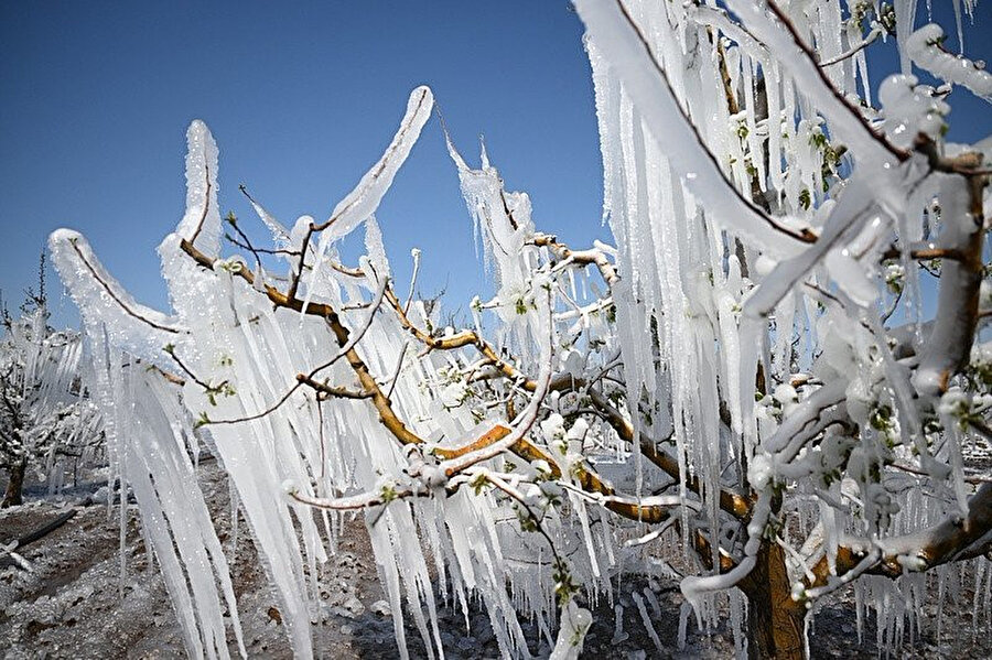 Beklenen haber geldi: Ödemeler başlıyor​