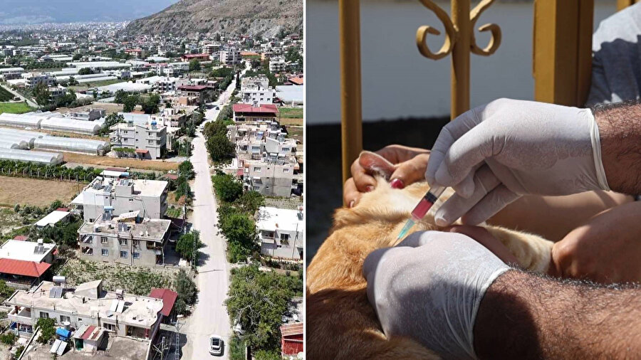 Yetkililer harekete geçti: Hatay'da 4 mahalle karantinaya alındı