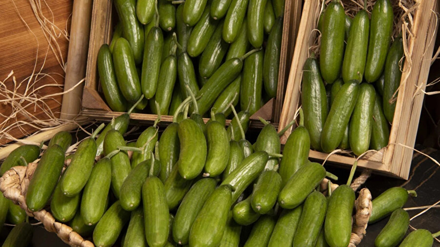 ​'Salmonella' salgını: 50 kişi zehirlendi... Salatalıklar geri çağrıldı