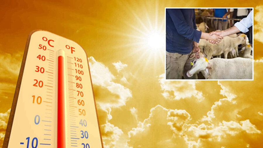 Kurban Bayramı arefesinde hava nasıl? Bayramda hava durumu nasıl olacak? Meteoroloji tahminleri açıklandı