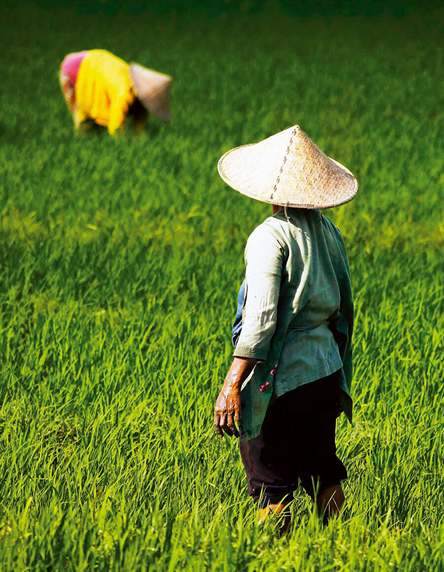 Savulun ‘Tarım Polisleri’ geliyor