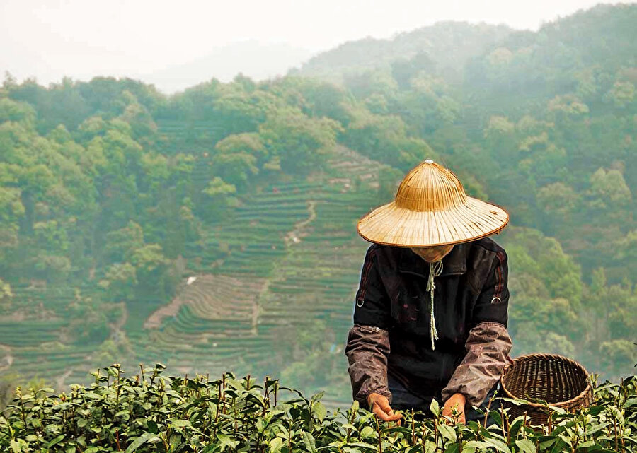 Yaz sebzelerinin ekim zamanına denk getirilen duyuruda “Eğer yasağa uyulmazsa köy komitesi, yerinde kontroller yapacak ve yasak mahsulleri yok etmek için personel gönderecektir” deniliyor
