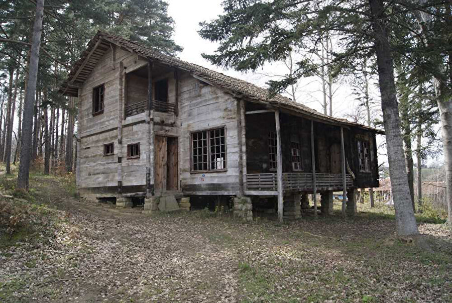 Sinop Erfelek'te Dıranas'ın evinin perişan hâli.