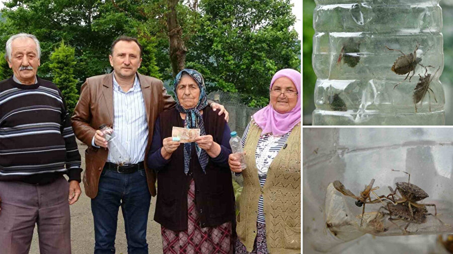 Bu böcek dünyanın sonunu getirebilir: Canlı getirene ödül konuldu