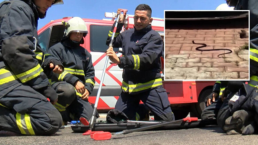 Şehri yılanlar sardı: İtfaiye ekipleri harekete geçti