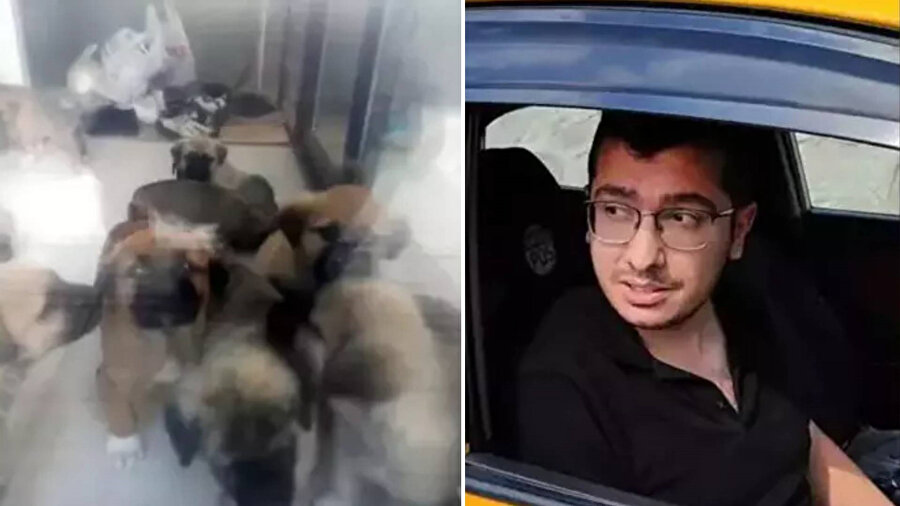 Sahiplendiği köpekleri öldürdüğü iddiasıyla tutuklanan doktora 17,5 yıla kadar hapis istemi