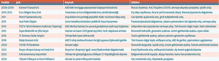 Türkiye Ekonomisini Etkileyen Şoklar (2009 2024)