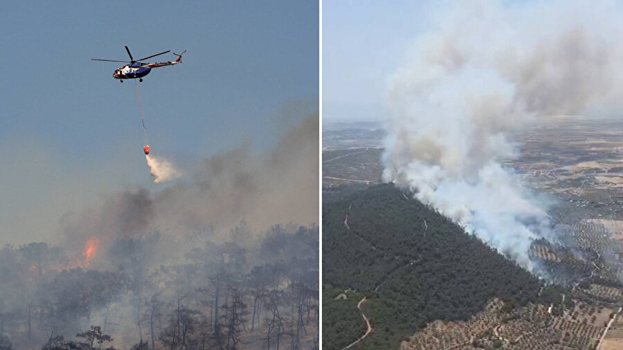 ​İzmir Foça’da orman yangını: Havadan ve karadan müdahale başladı