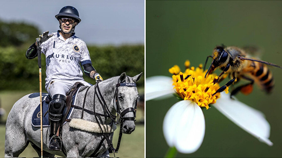 ​Hintli milyarder at binerken ağzına arı girdi: Hayatını kaybetti