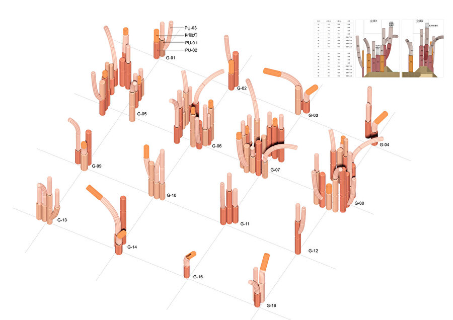 Saguaro Kaktüs Sütunu diyagramı.
