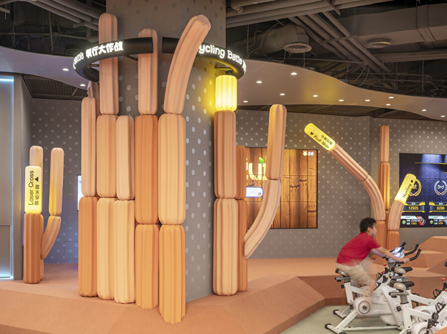 Saguaro kaktüs sütunu.