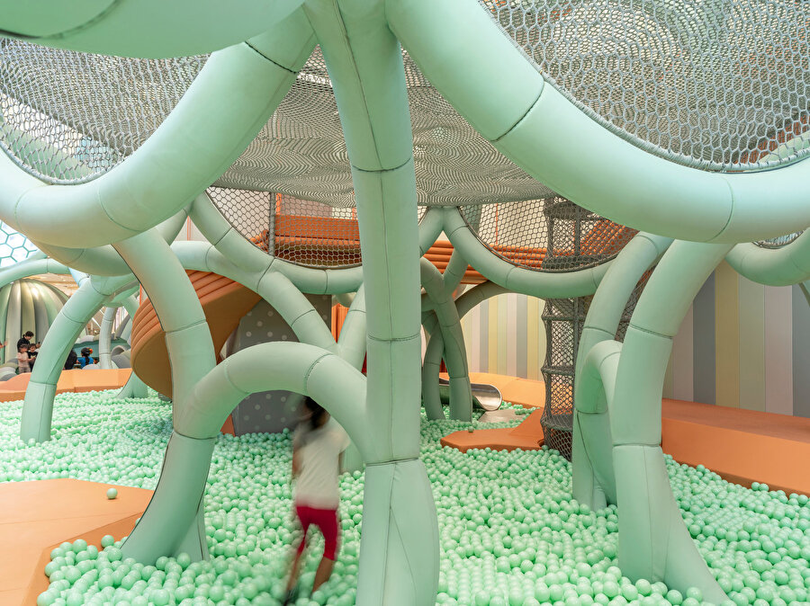 Tırmanma macerası sunan çember kaktüs.