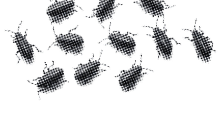 Bir porsiyon böcek kanı alabilir miyim?