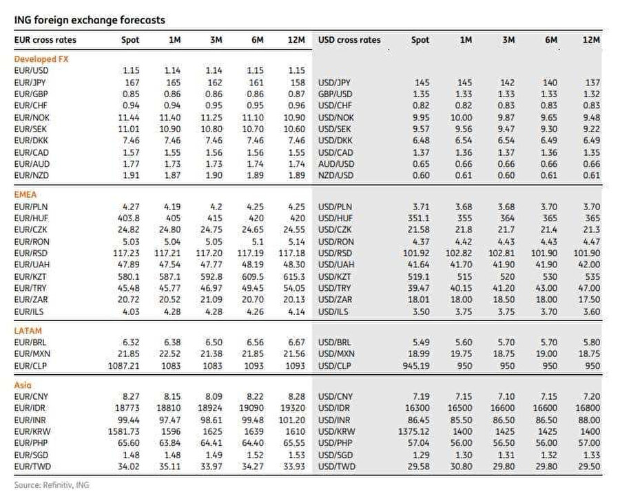 ING TL/Dolar Euro tahmini