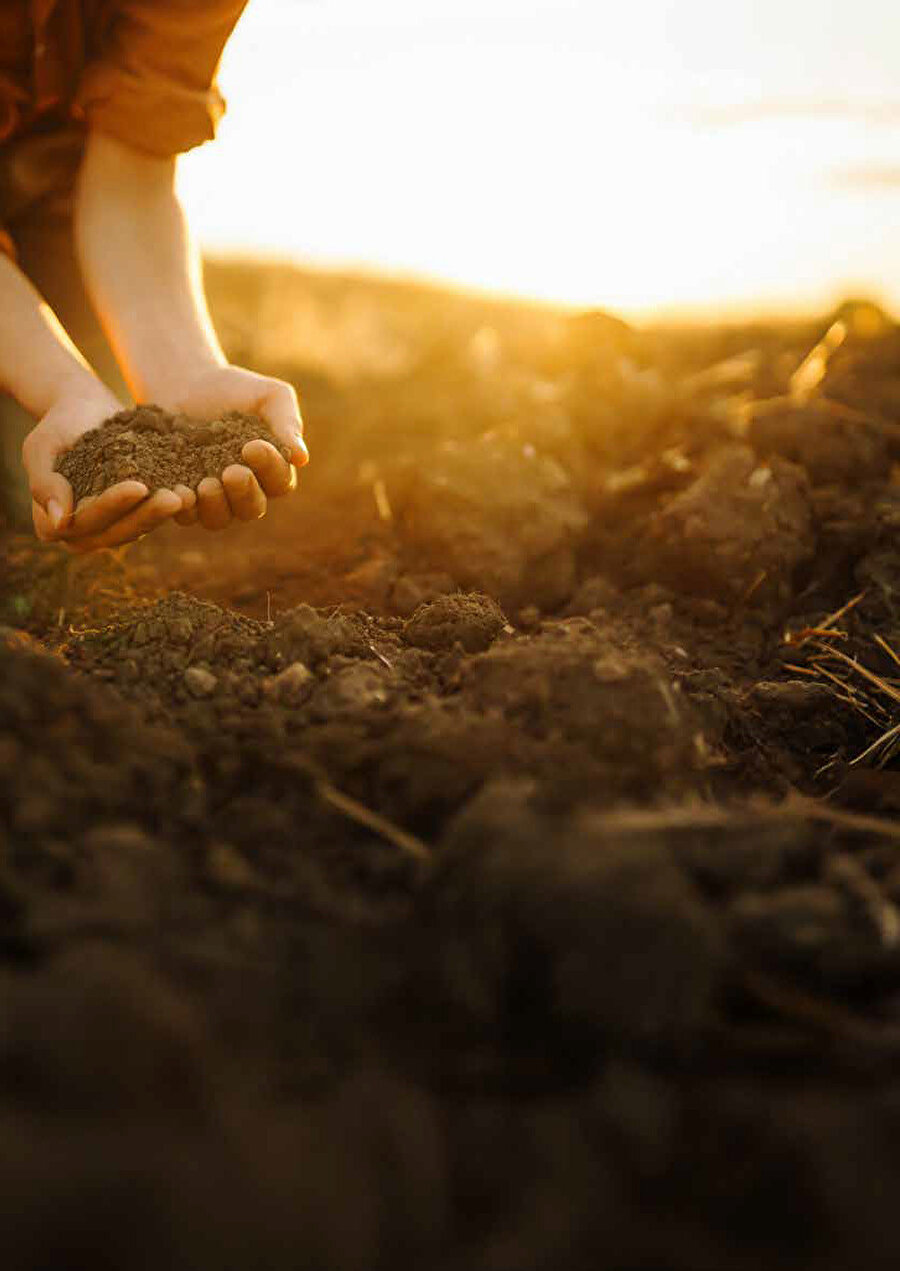 ​Tüketim alışkanlıklarımız toprağı kirletiyor