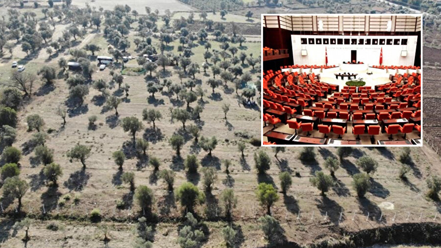 Enerji ve Maden Teklifi Komisyon’dan geçti: Zeytinlikler, ormanlar ve kritik madenler için yeni dönem başlıyor