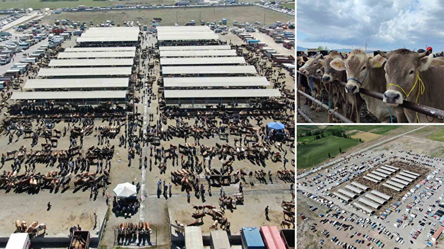 Sivas’ta hayvan pazarları kapatıldı.