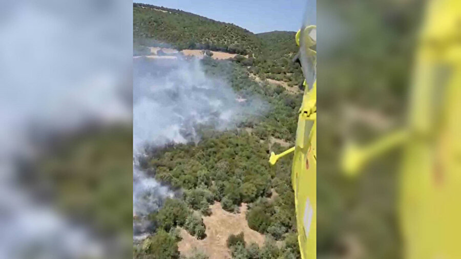 Balıkesir'de orman yangını