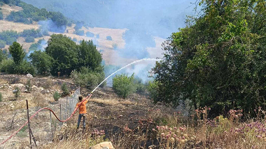Akdeniz Bölgesi'nde orman yangınları