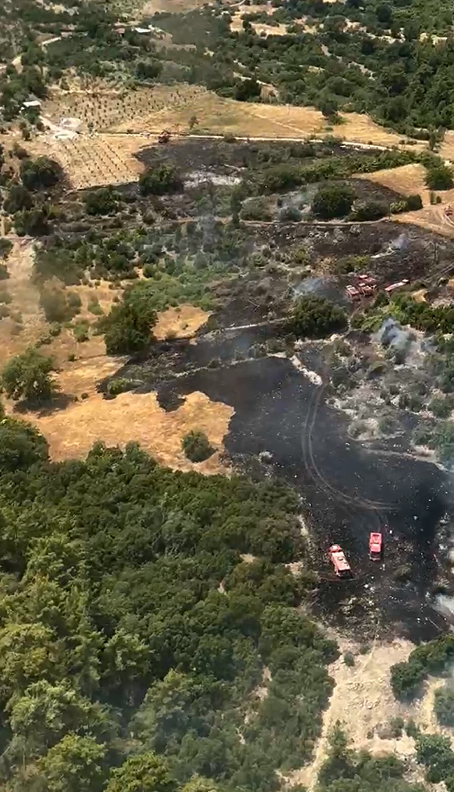 Antalya'da orman yangını