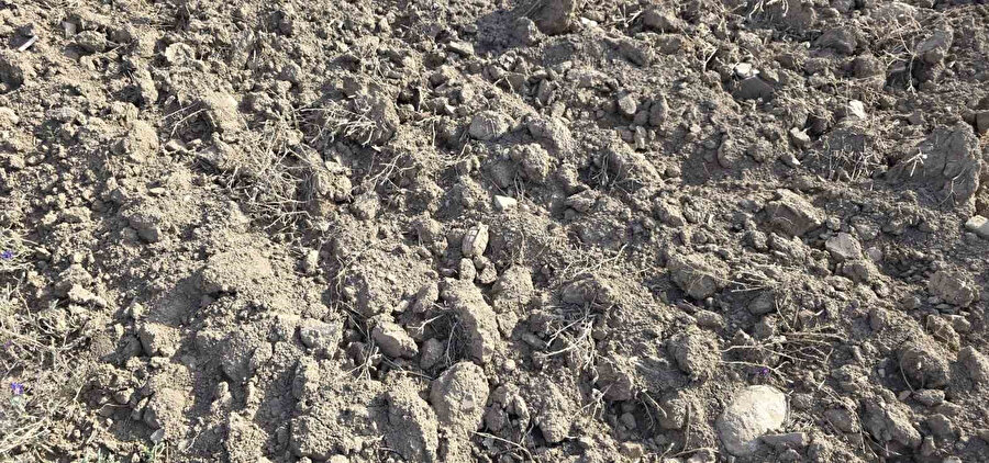 Patlamamış tarihi el bombası