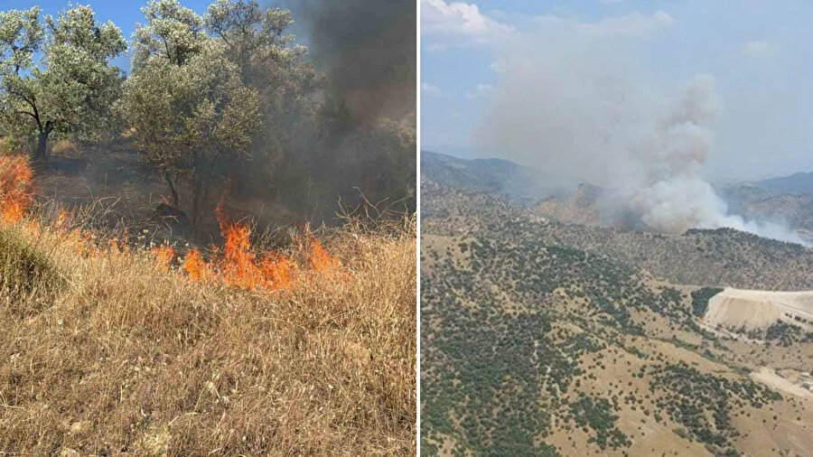 Aydın'da korkutan orman yangını: Bir mahalle boşaltıldı