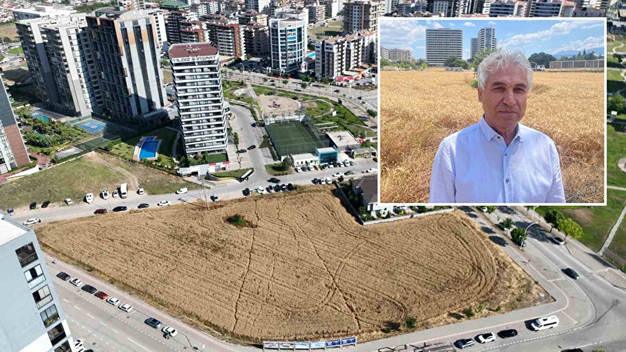 Gökdelenlerin arasında 150 ​milyon lira değerinde arsa: Satmak yerine buğday hasadı yapıyor