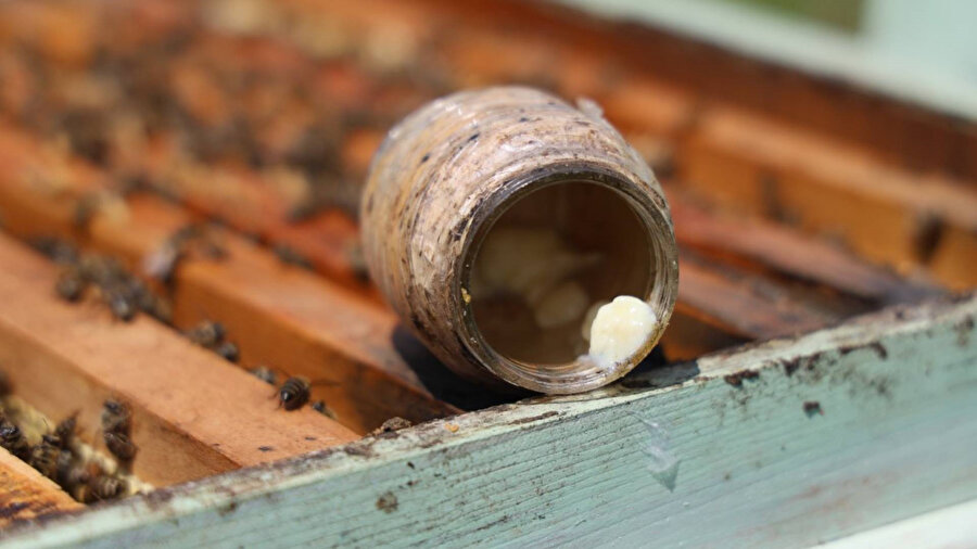 Arı sütünün kilosu 45 bin liradan alıcı buluyor.