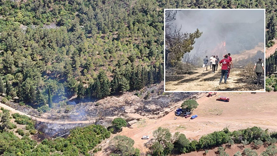 Felaketten kıl payı dönüldü: Semaver yakacakken ormanı da yaktı