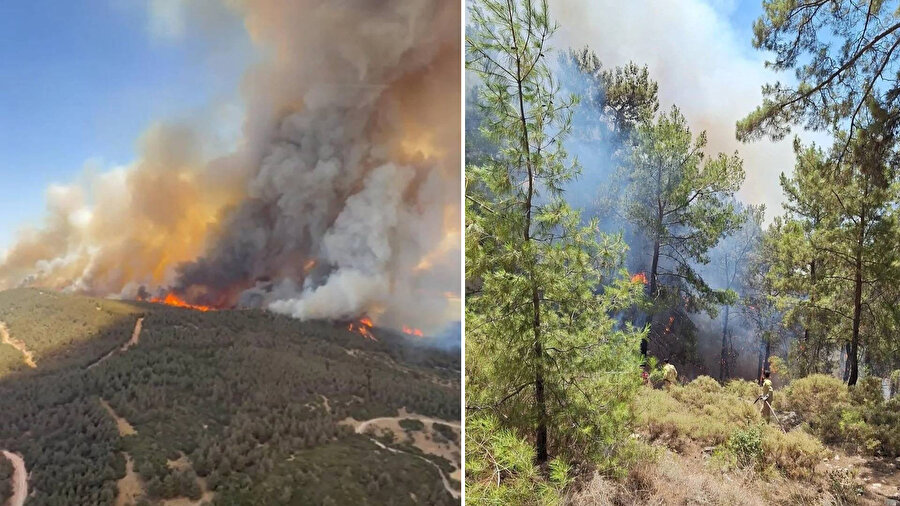 ​İzmir ve Antalya'da orman yangınları: Ekiplerin mücadelesi sürüyor