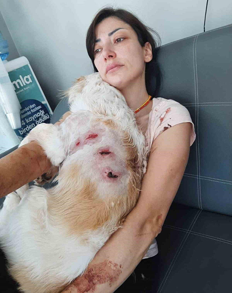 Kadın ve köpeği tedavi altına alındı