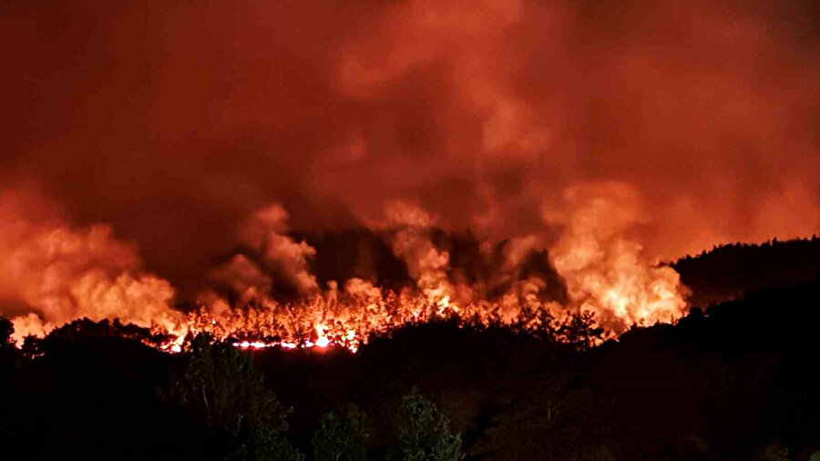 Yürek burkan görüntüler: Sakarya’daki orman yangını havadan görüntülendi