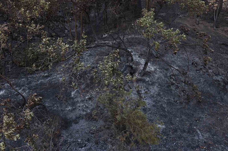 Taraklı’da acı üstüne acı: Tarlası kül oldu, kazada yakınını kaybetti