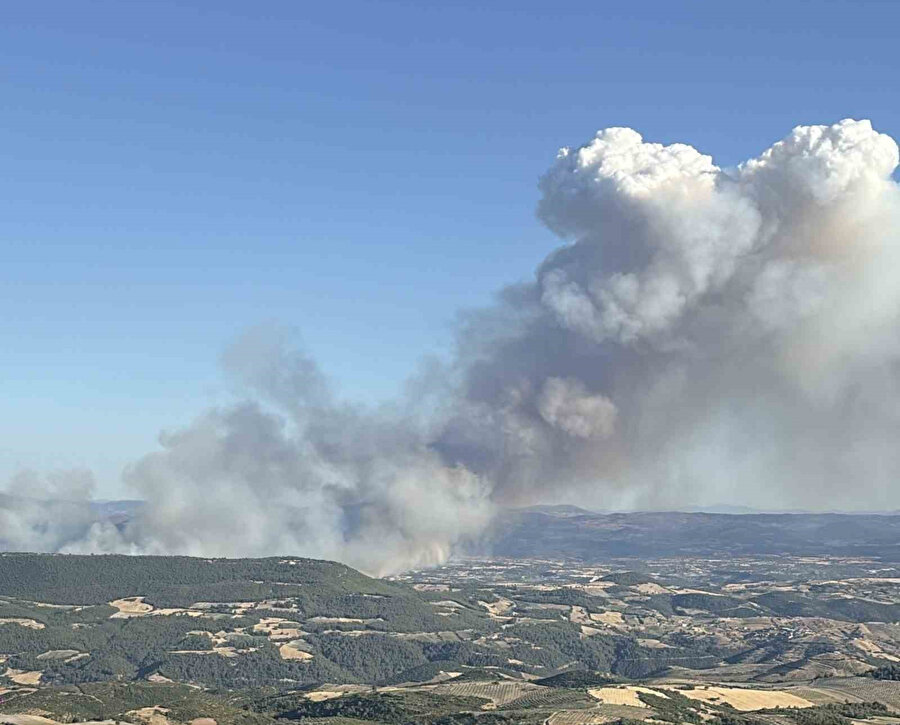 Manisa’nın farklı bir noktasında daha orman yangını çıktı