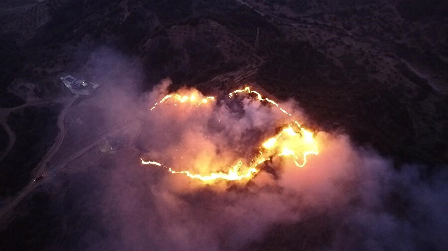 Akılalmaz ihmalkârlık: Keneyi yakmak isterken ormanı yaktı