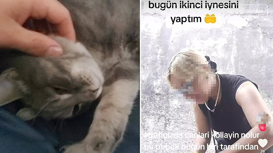 Sokak kedilerine iğne yapıp sosyal medyadan paylaşan kadına hayvanseverlerden tepki geldi.