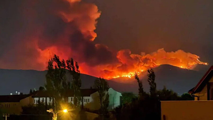 81 yaşındaki yatalak hasta İzmir Ödemiş yangınında hayatını kaybetti.