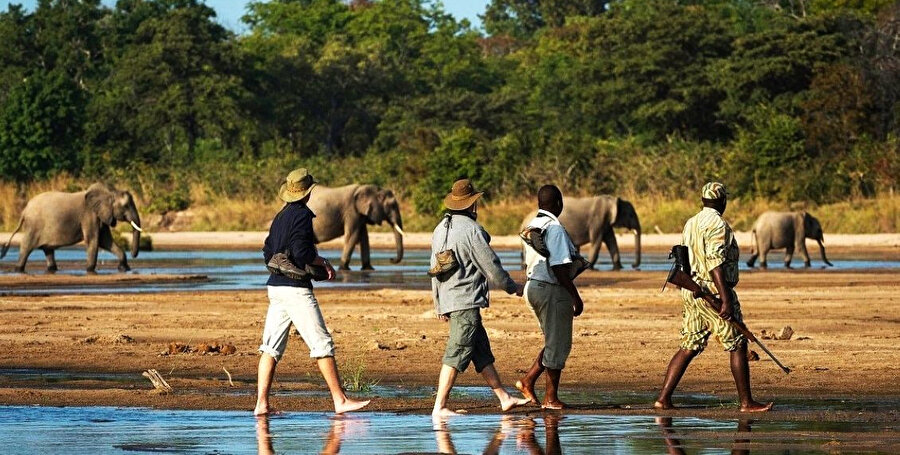 Afrika yerel medyası